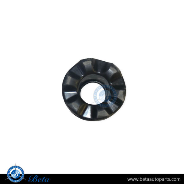 Mercedes W204 / W205 / W212 / C207 / W213 / C238 / W218 / W253 / C257 / W447 (2006-Up), Radiator Clip, China, 0995040212 / 0995047200