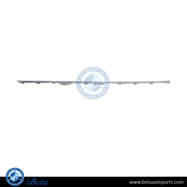 Tesla Model S (2012-2016), Side Skirt Moulding (Left), China, 1024575-00-G