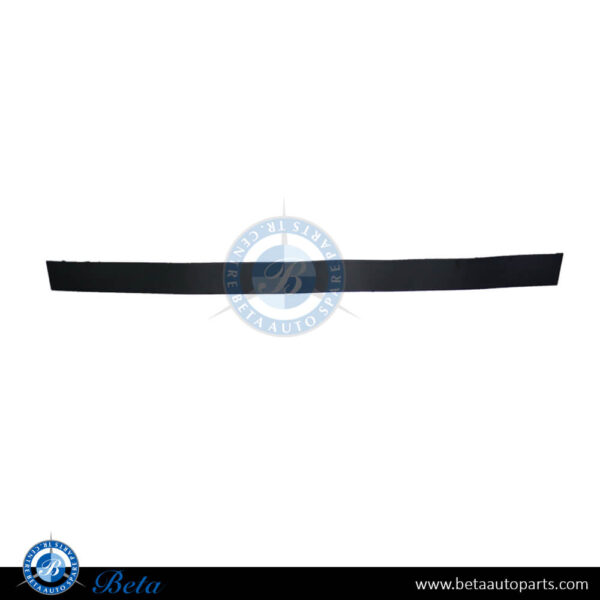 Tesla Model X (2015-2021), Front Door Moulding (Left), China, 1035201-00-D