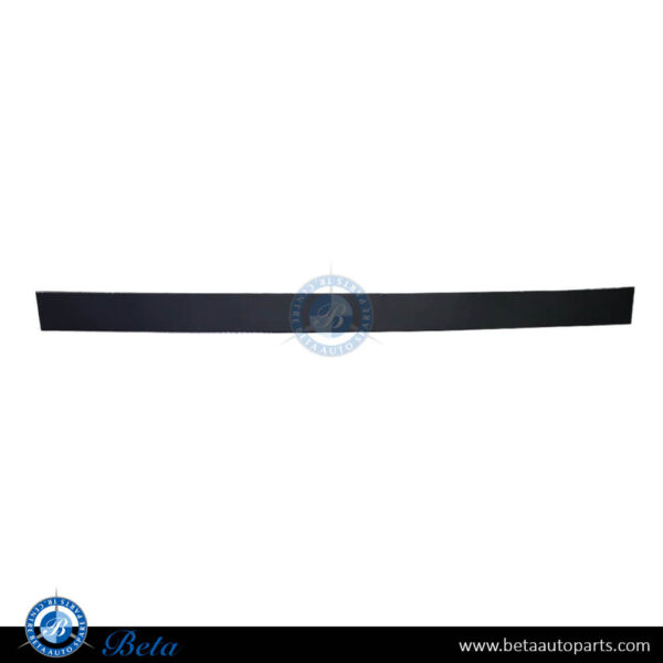 Tesla Model X (2015-2021), Front Door Moulding (Right), China, 1035202-00-D