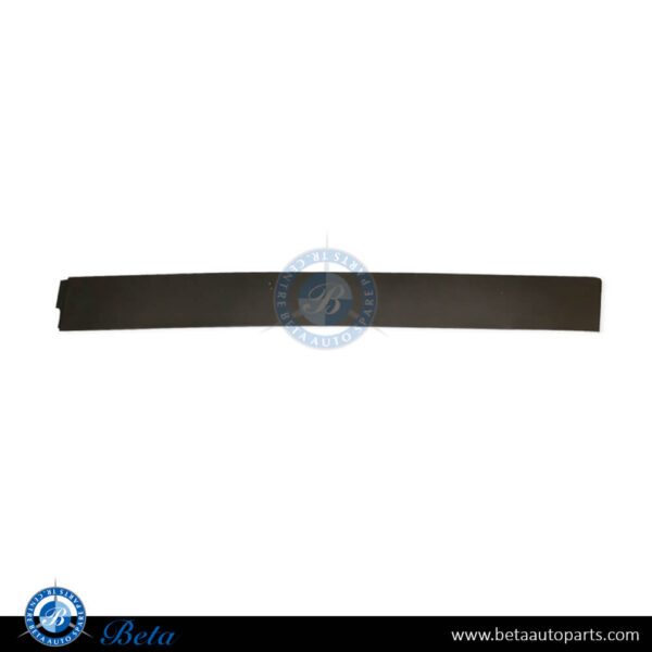 Tesla Model X (2015-2021), Rear Door Moulding (Left), China, 1035203-00-E