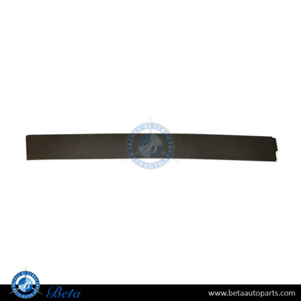 Tesla Model X (2015-2021), Rear Door Moulding (Right), China, 1035204-00-E