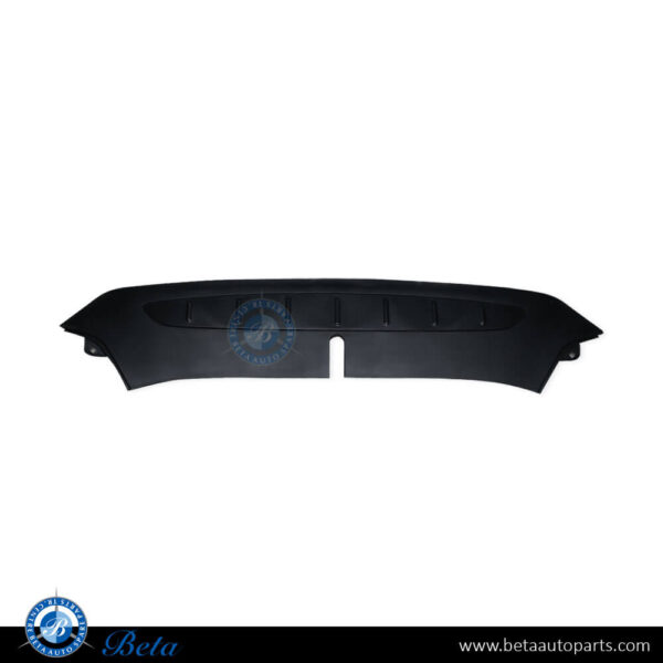 Tesla Model X (2015-2021), Frunk Apron (Front), China, 1036234-00-F / 1036234-00-E