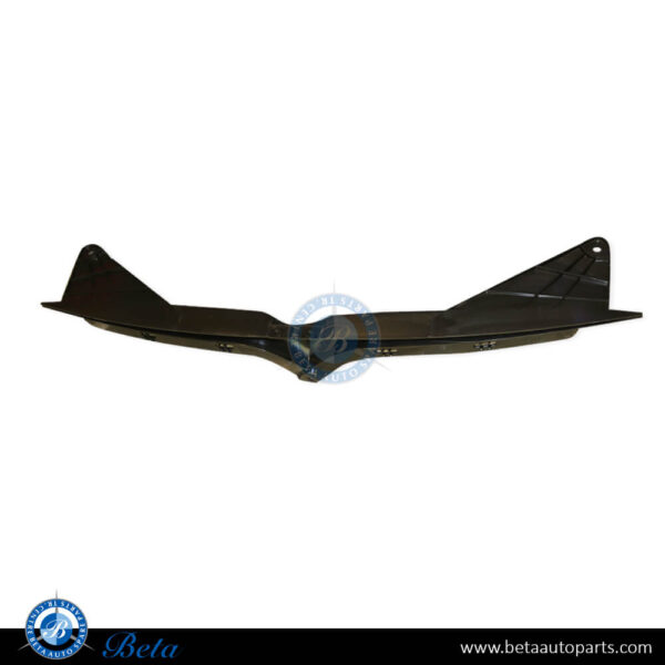 Tesla Model S (2017-2021), Front Logo Bracket, China, 1062472-00-F