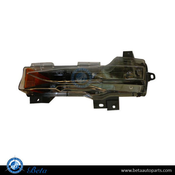 Tesla Model 3 (2017-2023), Fog Lamp - USA Type (Left), China, 1077391-00-F