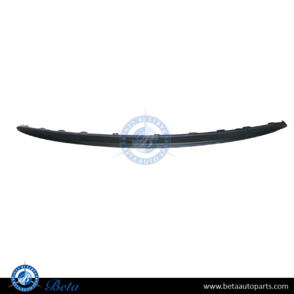 Tesla Model 3 (2017-2023), Rear Bumper Lower Spoiler, China, 1103035-00-D