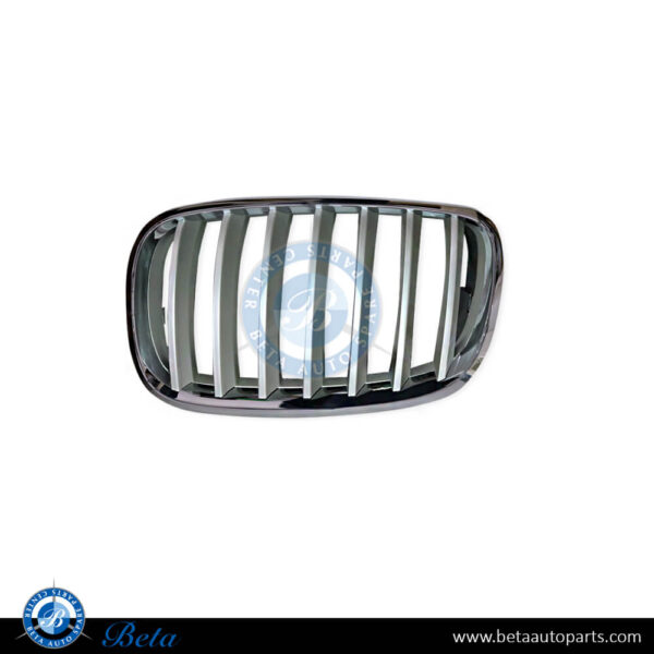 BMW X5 / X6 E70 / E71 (2007-2014), Radiator Grille - Silver (Left), China, 51137185223 / 51137307599