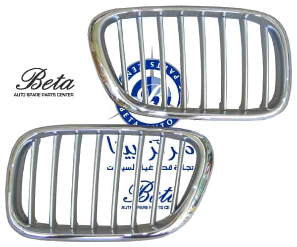 BMW X5 E53 (2000-2006), Radiator Grille - Chrome Titanium (Left), Taiwan, 51138250051