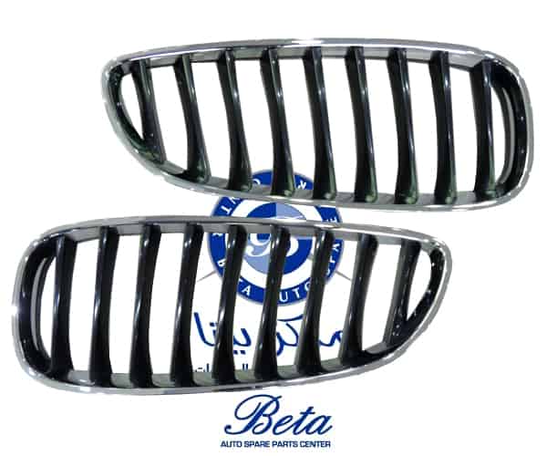 BMW Z4 E89 (2009-2012), Radiator Grille - Black and Chrome (Left), Taiwan, 51137191509