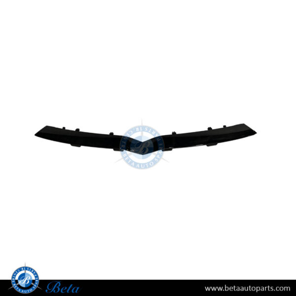 Tesla Model X (2022-Up), Front Bumper V Moulding, China, 1617074-00-C / 1617074-00-A