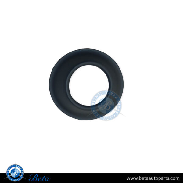 Mercedes ML-Class W163 (1997-2004), Fog Lamp Cover Normal AMG (Right), Taiwan, 1638851081