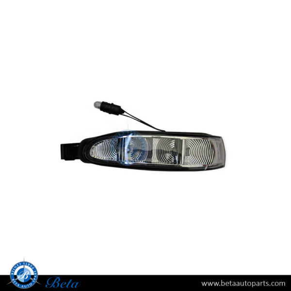 Mercedes ML-Class / R-Class W164 / W251 (2005-2007), Mirror Blinker (Left), Taiwan, 1648200521