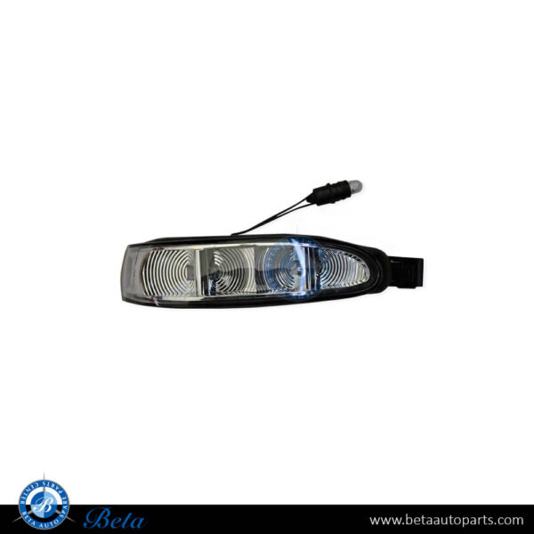 Mercedes ML-Class / R-Class W164 / W251 (2005-2007), Mirror Blinker (Right), Taiwan, 1648200621