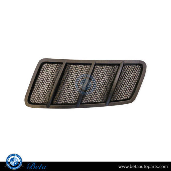 Mercedes ML-Class / GLE-Class W166 / C292 (2012-2018), Hood Air Vents (Left), China, 1668800105