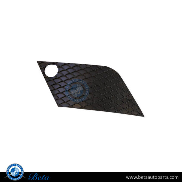 Mercedes ML-Class W166 (2012-2014), Front Bumper Lower Grille Normal AMG (Left), China, 1668851722