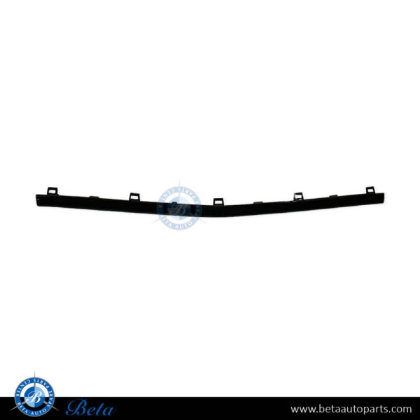 Mercedes GLE-Class W167 / C167 (2019-2023), Front Bumper Moulding AMG with Night Package - Black (Center), China, 1678854605