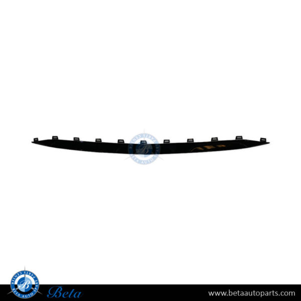 Mercedes GLE-Class W167 / C167 (2019-2023), Front Bumper Lower Moulding Normal AMG - Black (Center), China, 1678857003