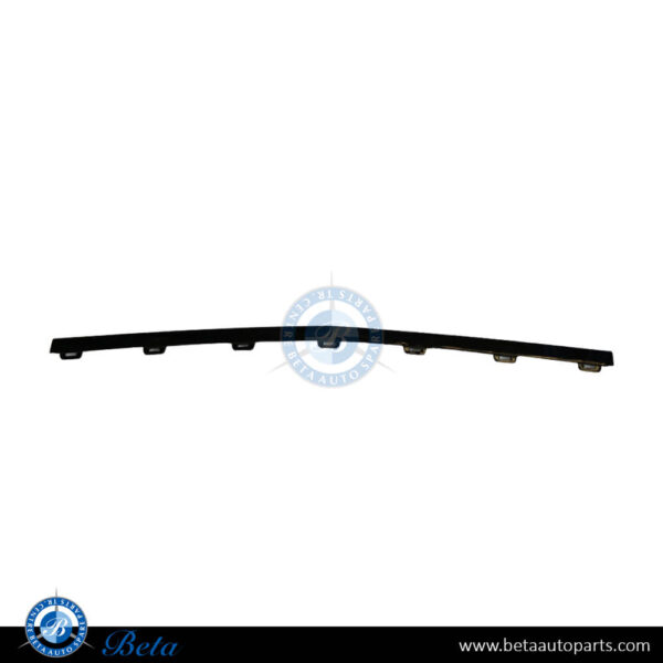 1778859400-mercedes-a-class-w177-front-bumper-lower-moulding-amg-a45-black-center.jpg Mercedes A-Class W177 (2019-2022), Front Bumper Lower Moulding AMG A45 Black Center, China, 1778859400