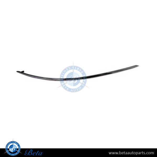 Mercedes C-Class W203 (2001-2007), Front Bumper Moulding - USA Type - Chrome (Left), Taiwan, 2038852121