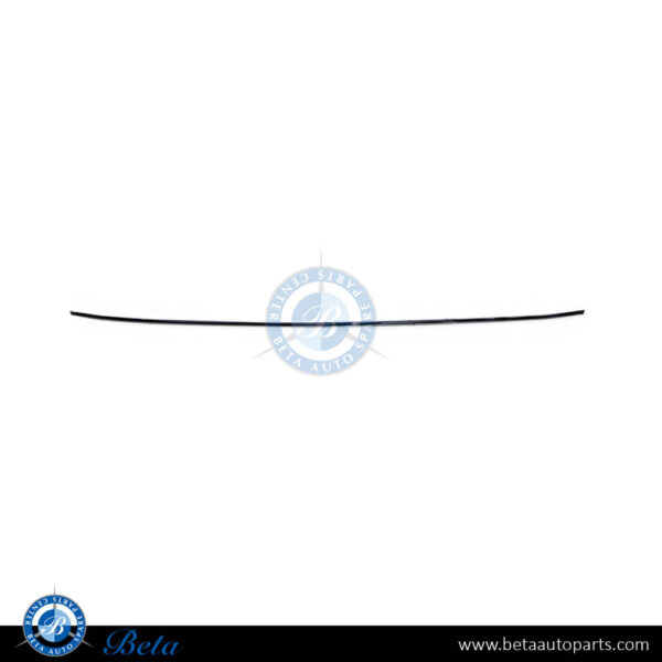 Mercedes C-Class W203 (2001-2007), Rear Bumper Moulding - Chrome (Center), Taiwan, 2038852921