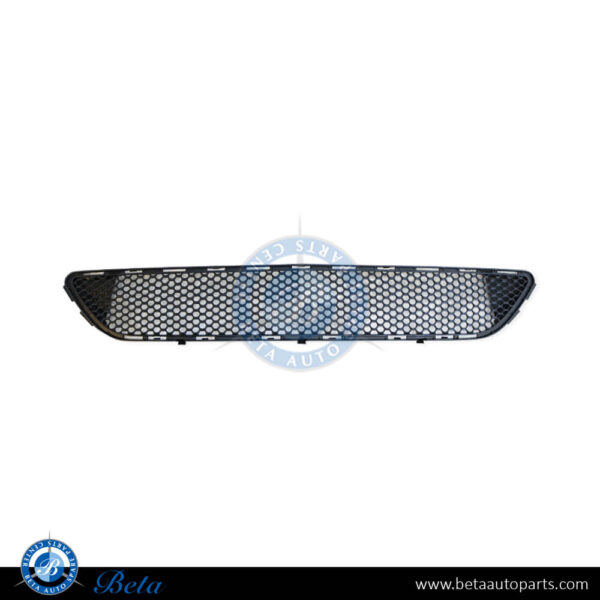 Mercedes C-Class W204 (2008-2010), Front Bumper Lower Grille Normal AMG (Center), Taiwan, 2048850153