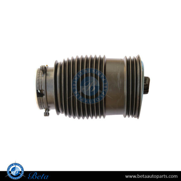 Mercedes C-Class / E-Class / EQC-Class W205 / W213 / N293 (2017-Up), Rear Air Spring (Right), China, 2053200225