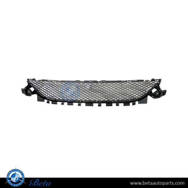Mercedes C-Class W205 (2015-2018), Front Bumper Lower Grille Normal AMG (Center), Taiwan, 2058852123