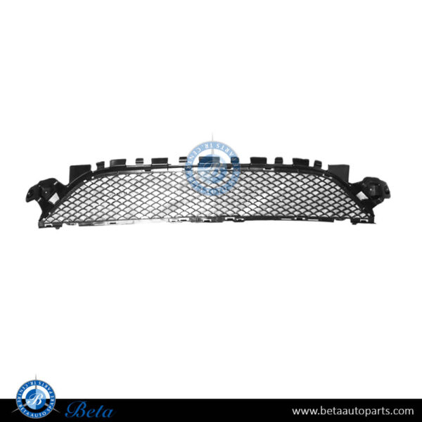 Mercedes C-Class W205 (2015-2018), Front Bumper Lower Grille Normal AMG (Center), China, 2058852123