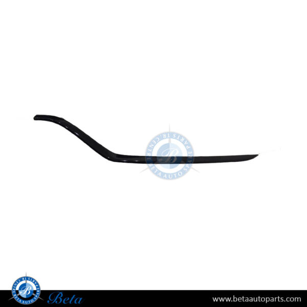 Mercedes C-Class / CLS-Class W205 / C205 / W218 (2015-2021), Front Bumper Lower Moulding AMG C63/CLS63 - Black (Left), Taiwan, 2058852274