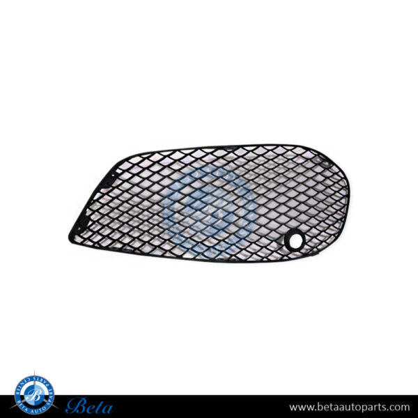 Mercedes C-Class W205 (2015-2018), Front Bumper Lower Grille Normal AMG (Left), Taiwan, 2058852523