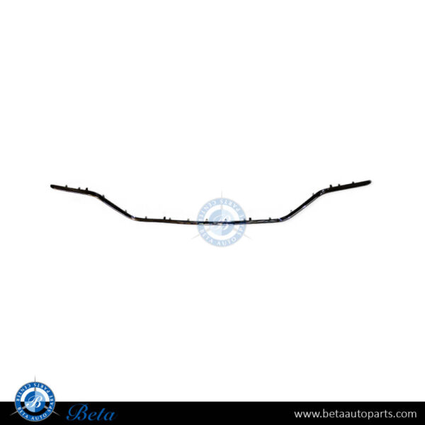 2058853903-mercedes-c-class-w205-rear-diffuser-chrome-moulding-normal-amg-silver.jpg Mercedes C-Class W205 (2019-2021), Rear Diffuser Moulding Normal AMG (Silver), China, 2058853903