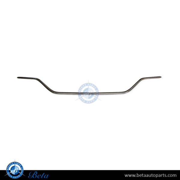 2058853903-mercedes-c-class-w205-rear-diffuser-chrome-moulding-normal-amg-silver_70b111a9-2e0d-428f-b08c-9c64ba12c1af.jpg Mercedes C-Class W205 (2019-2021), Rear Diffuser Moulding Normal AMG (Silver), Taiwan, 2058853903