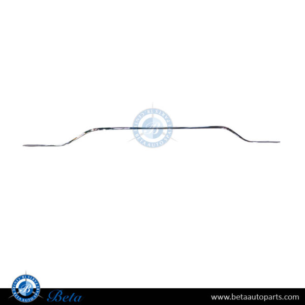 2058856103-mercedes-c-class-coupe-c205-rear-diffuser-moulding-normal-amg-silver.jpg Mercedes C-Class Coupe C205 (2019-2021), Rear Diffuser Moulding Normal AMG (Silver), China, 2058856103