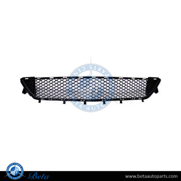 Mercedes E-Class Coupe C207 (2010-2013), Front Bumper Lower Grille AMG (Center), Taiwan, 2078800085