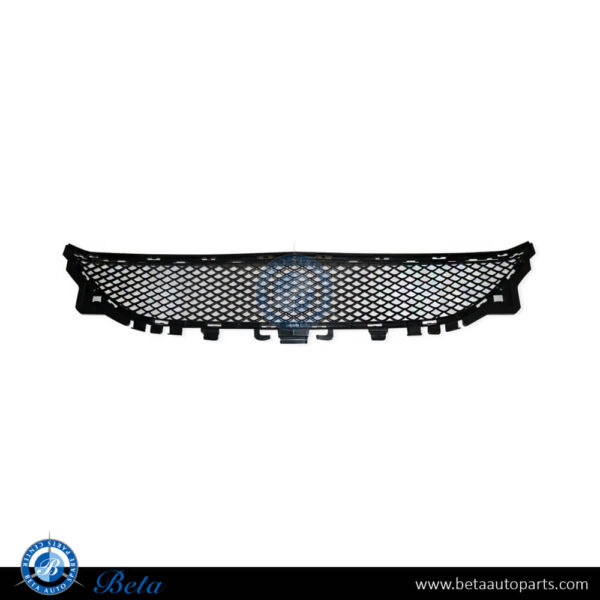 Mercedes E-Class Coupe C207 (2014-2016), Front Bumper Lower Grille Normal AMG (Center), Taiwan, 2078850224