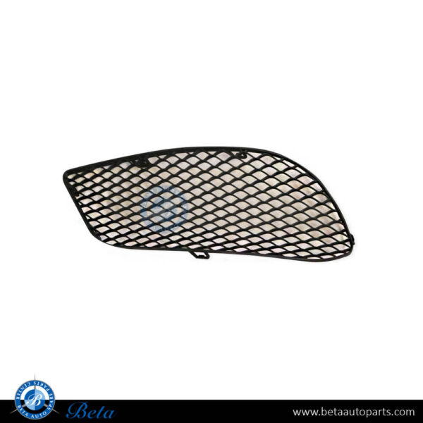 Mercedes E-Class Coupe C207 (2014-2016), Front Bumper Lower Grille Normal AMG (Left), Taiwan, 2078850324