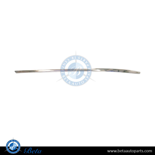 Mercedes E-Class Coupe C207 (2010-2013), Front Bumper Lower Moulding - Chrome (Left), China, 2078851921