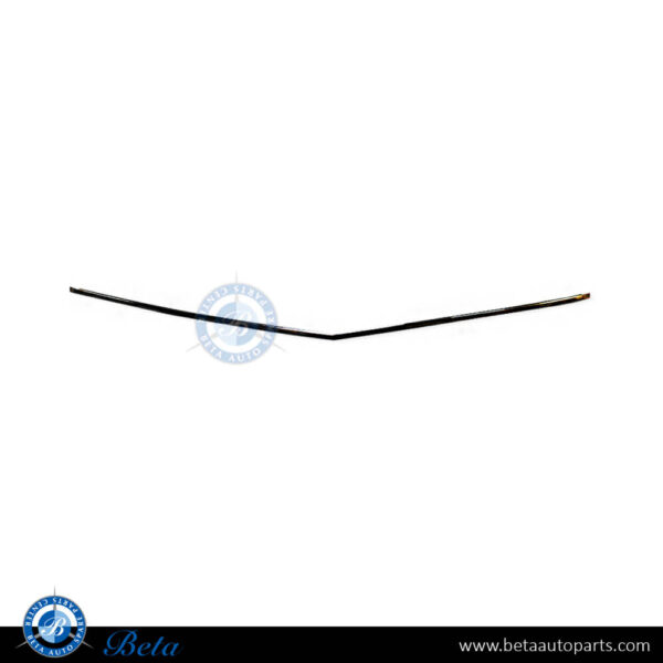 Mercedes E-Class Coupe C207 (2010-2013), Front Bumper Lower Moulding - Chrome (Center), Taiwan, 2078852321