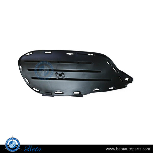 Mercedes E-Class Coupe C207 (2014-2016), Front Bumper Inner Grille Normal AMG (Left), Taiwan, 2078852423