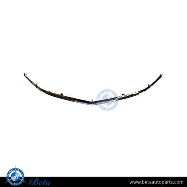 Mercedes E-Class Coupe C207 (2014-2016), Radiator Grille Frame Lower Moulding (Chrome), China, 2078881385