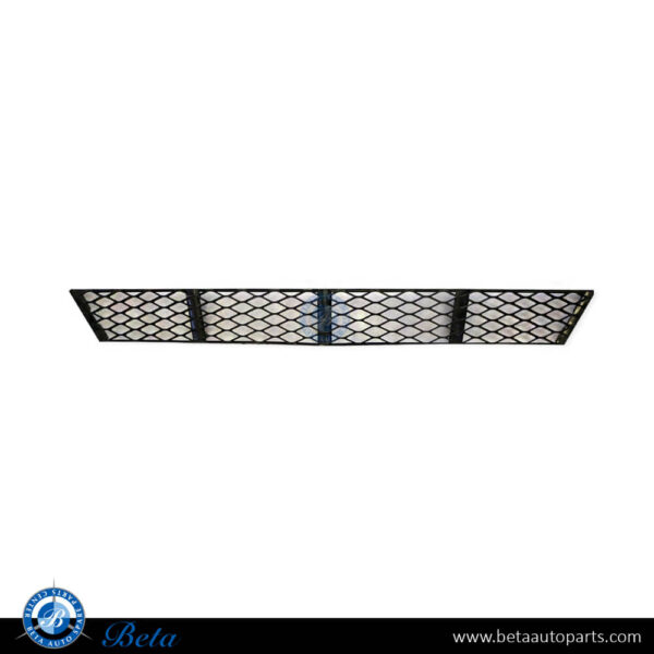 2118850122-mercedes-e-class-w211-front-bumper-lower-grille-classic-avantgarde-elegance-center.jpg Mercedes E-Class W211 (2006-2009), Front Bumper Lower Grille Classic/Avantgarde/Elegance (Center), China, 2118850122
