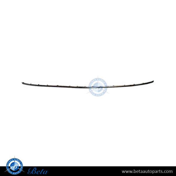 2118850221-mercedes-e-class-w211-front-bumper-chrome-center.jpg Mercedes E-Class W211 (2006-2009), Rear Bumper Moulding - Chrome (Center), China, 2118850221