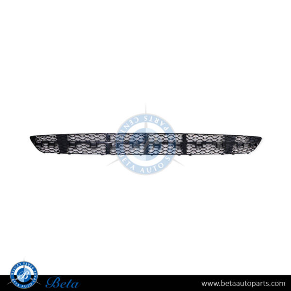 2118850553-mercedes-e-class-front-bumper-lower-grille-moulding-avantgarde-center-taiwan-parts-1.jpg Mercedes E-Class W211 (2003-2005), Front Bumper Lower Grille Avantgarde (Center), Taiwan, 2118850553