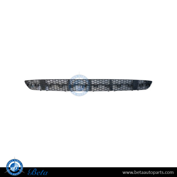 2118850553-mercedes-e-class-w211-front-bumper-lower-grille-avantgarde-center.jpg Mercedes E-Class W211 (2003-2005), Front Bumper Lower Grille Avantgarde (Center), China, 2118850553