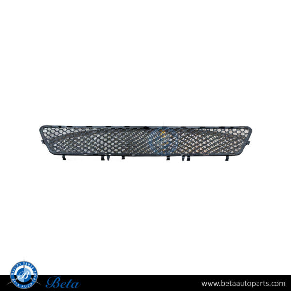 Mercedes E-Class W212 (2010-2013), Front Bumper Lower Grille Normal AMG (Center), Taiwan, 2128851253