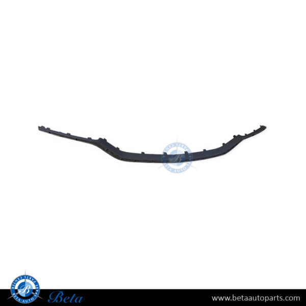 2128853674-mercedes-e-class-w212-front-bumper-center-moulding-amg-e63-silver.jpg Mercedes E-Class W212 (2014-2016), Front Bumper Center Moulding AMG E63 (Silver), Taiwan, 2128853674