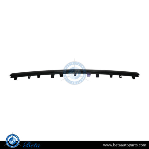 2128854274-mercedes-e-class-w212-front-bumper-lower-moulding-amg-e63-black-center.jpg Mercedes E-Class W212 (2014-2016), Front Bumper Lower Moulding AMG E63 Black (Center), Taiwan, 2128854274
