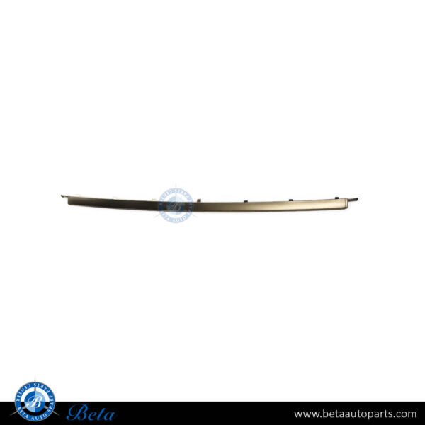 2128854421-mercedes-e-class-w212-rear-bumper-chrome-moulding-amg-e63-center.jpg Mercedes E-Class W212 (2014-2016), Rear Bumper Moulding AMG E63 - Chrome (Center), Taiwan, 2128854421