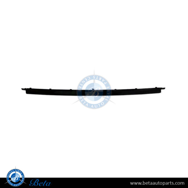 Mercedes E-Class W212 (2014-2016), Rear Diffuser Lower Moulding AMG E63 - Black (Center), Taiwan, 2128855021