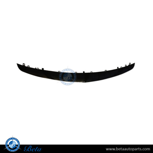 2138853800-mercedes-e-class-w213-front-bumper-lower-chrome-moulding-amg-e63-center.jpg Mercedes E-Class W213 (2017-2020), Front Bumper Lower Moulding AMG E63 (Center), Taiwan, 2138853800